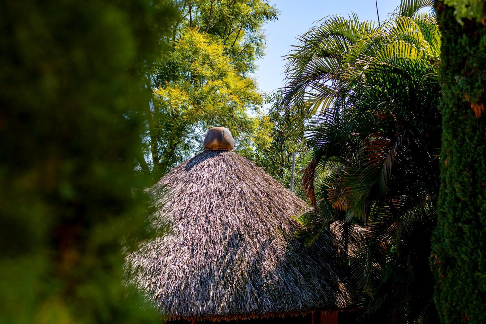 Hotel Casa Yunenisa Oaxaca Екстер'єр фото
